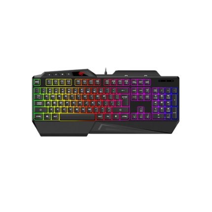 HAVIT KB488L Gaming keyboard (06MW)