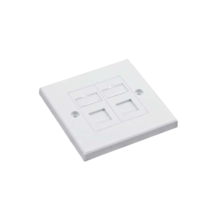 RJ45 Face Plate (Double)