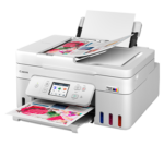Canon PIXMA G 4780 Mega Tank Wireless All-in-One ink Tank Colour Printer with Double Side Print (1YW)