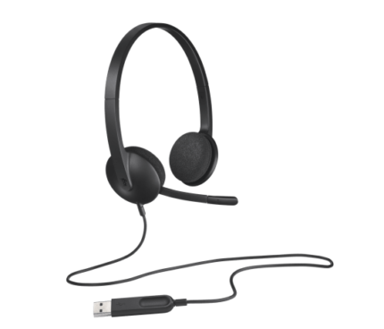 Logitech H340 USB Headset With Noise Canceling Mic (1YW)